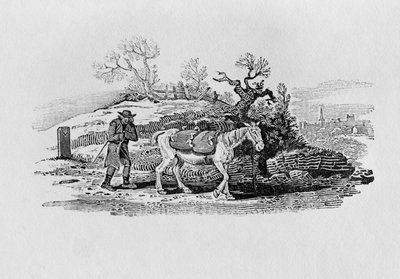 ガチョウは「イギリスの鳥と四足動物の歴史」から市場に運ばれました 作： Thomas Bewick